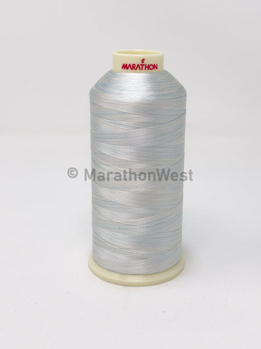 Rayon Varigated 5500YDS item 45001