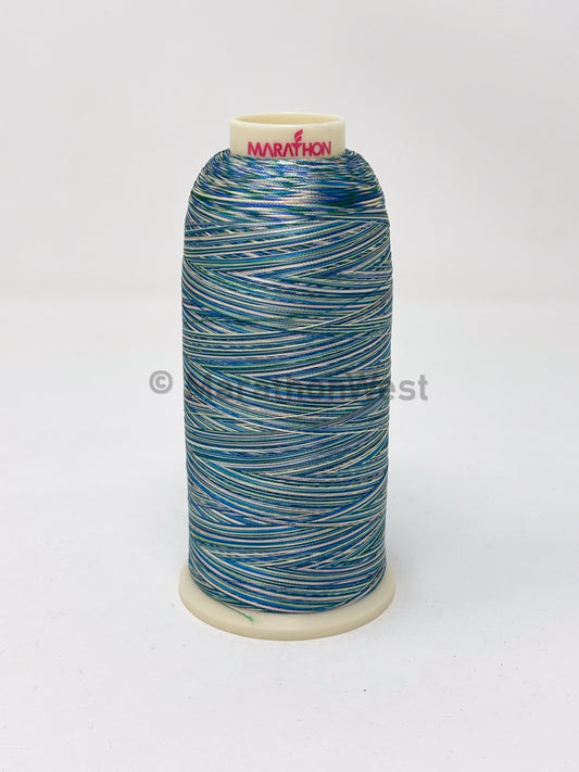 Rayon Varigated 5500YDS item 45002