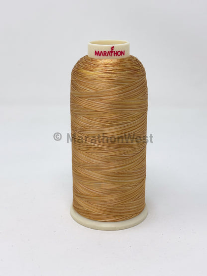Variegated Viscose Rayon Threads