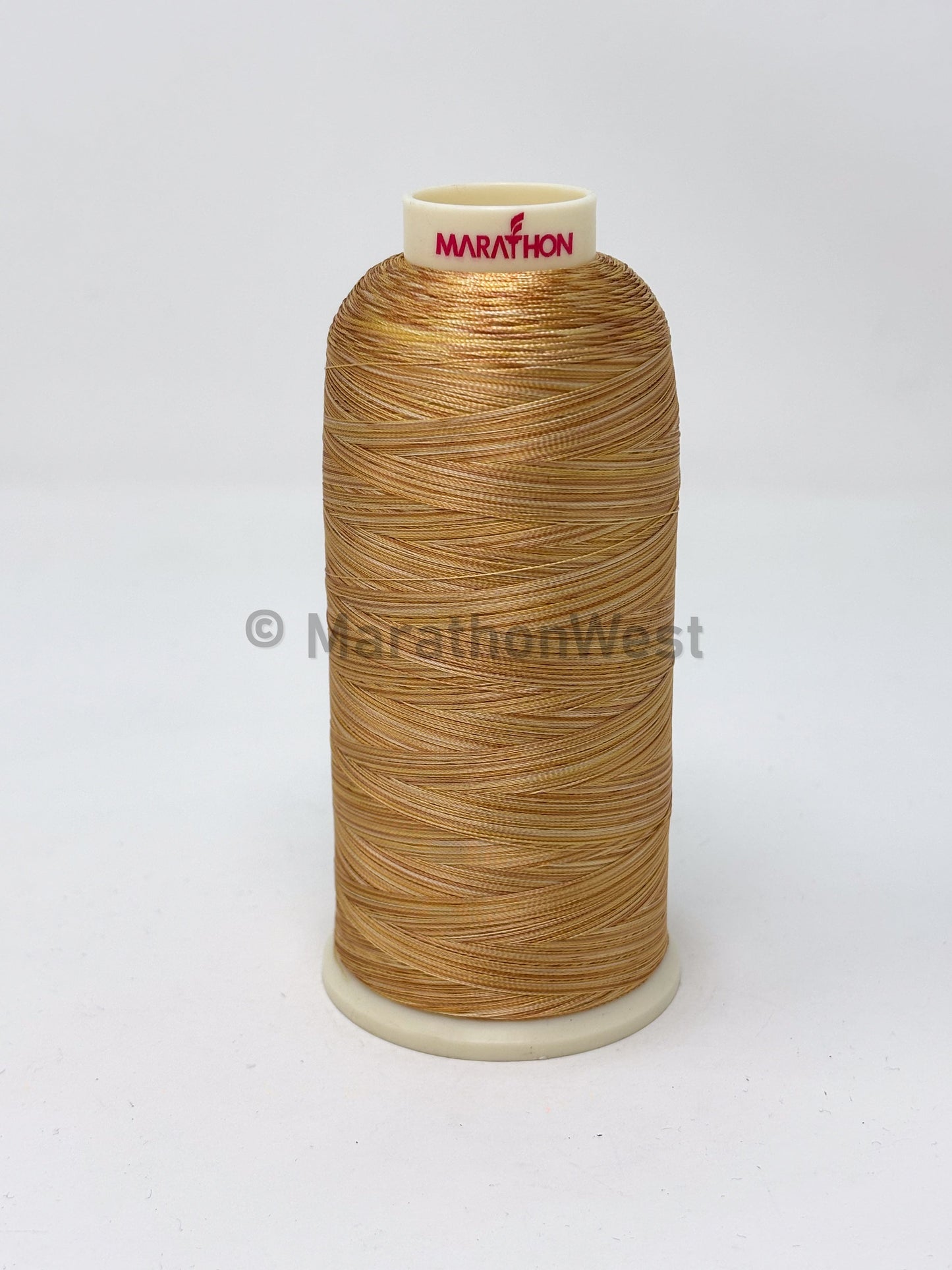 RAYON VARIEGATED 5500YDS #5501 item 45501