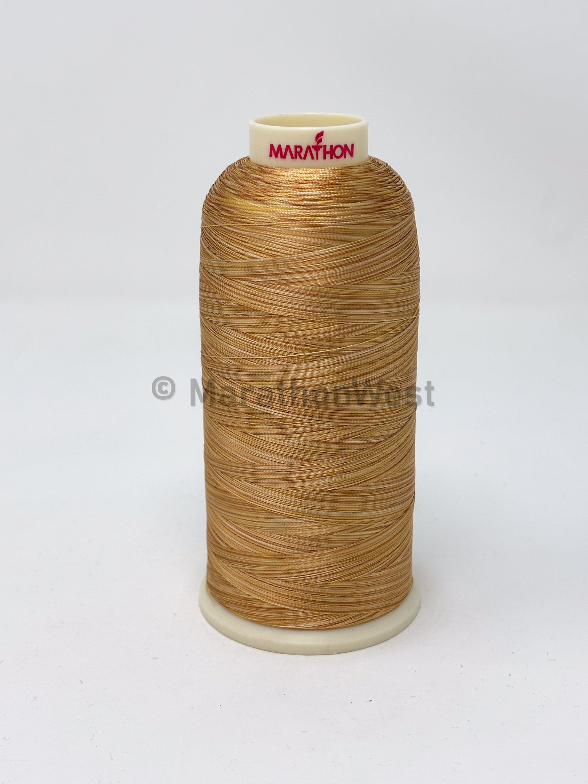 RAYON VARIEGATED 5500YDS #5501 item 45501
