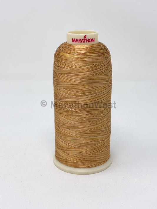 RAYON VARIEGATED 5500YDS #5501 item 45501
