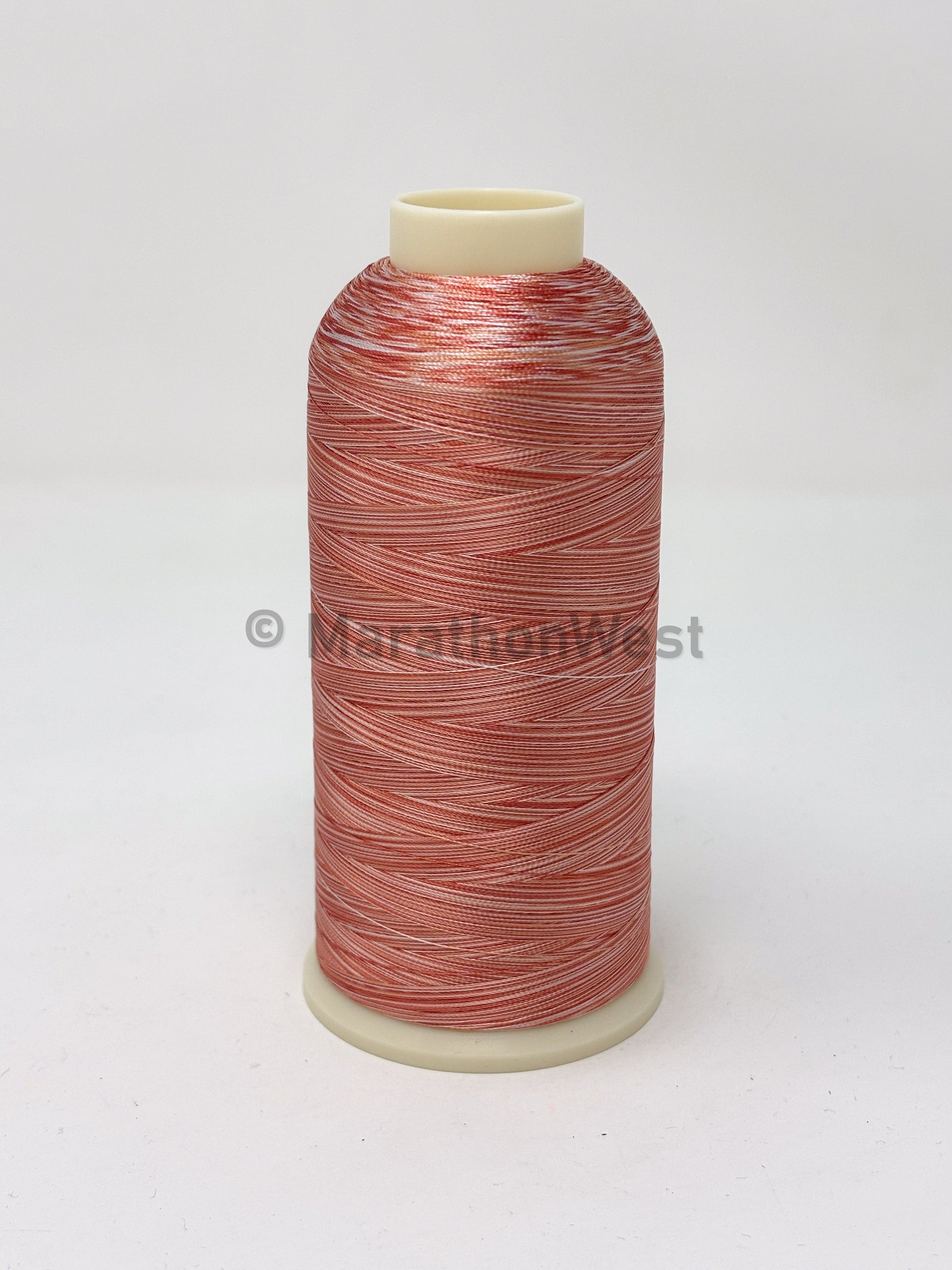 RAYON VARIEGATED 5500YDS #5502 item 45502