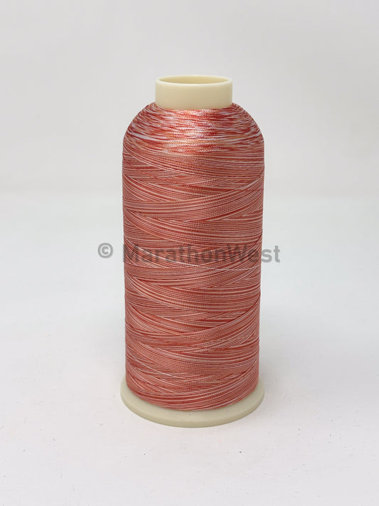 RAYON VARIEGATED 5500YDS #5502 item 45502