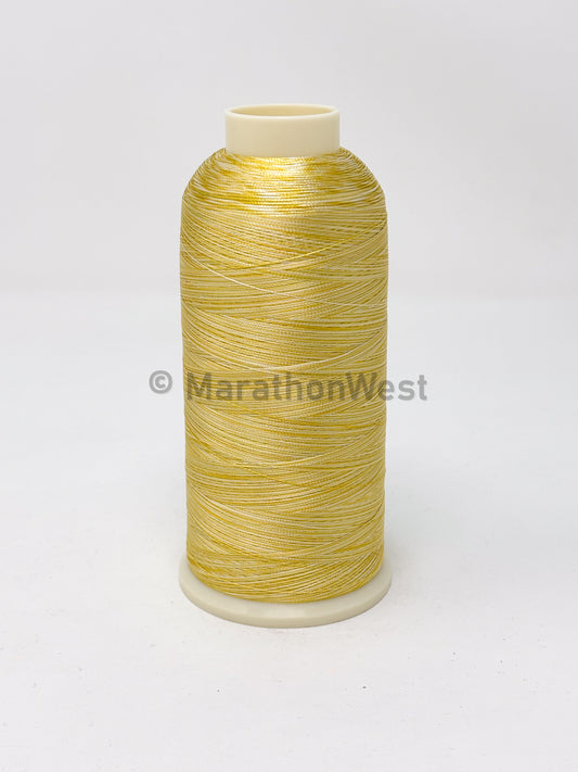 RAYON VARIEGATED 5500YDS #5503 item 45503