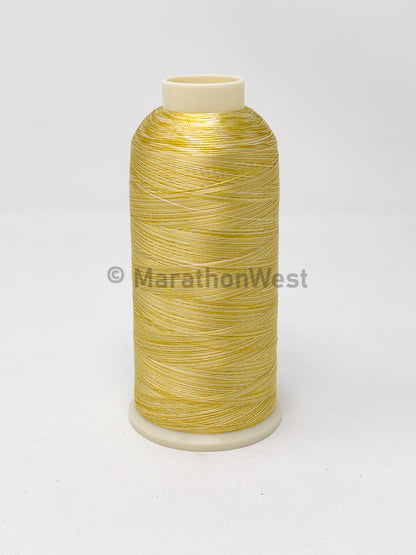 Variegated Viscose Rayon Threads