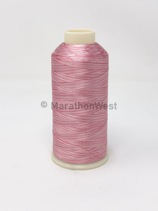 RAYON VARIEGATED 5500YDS #5504 item 45504