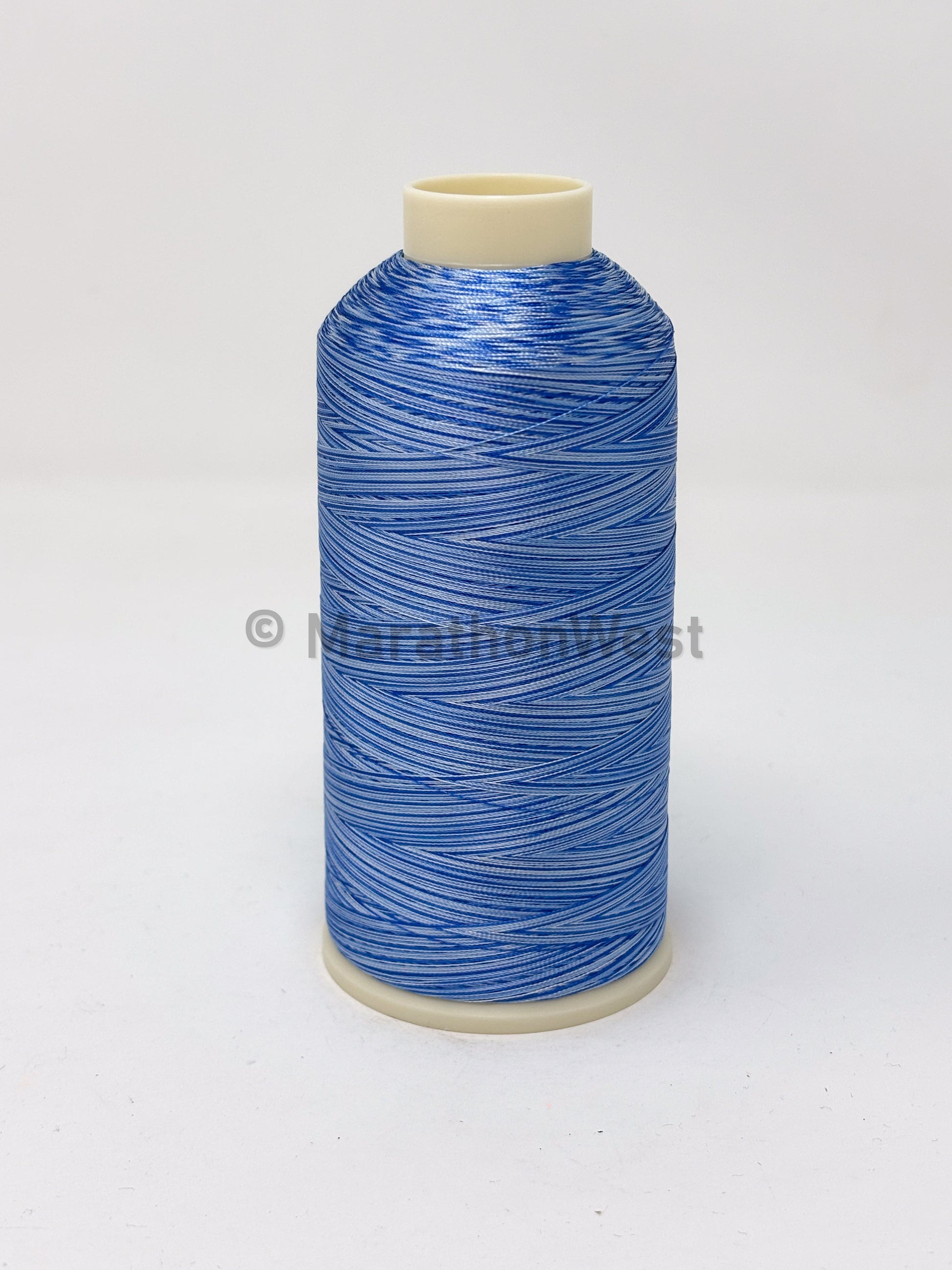 RAYON VARIEGATED 5500YDS #5509 item 45509