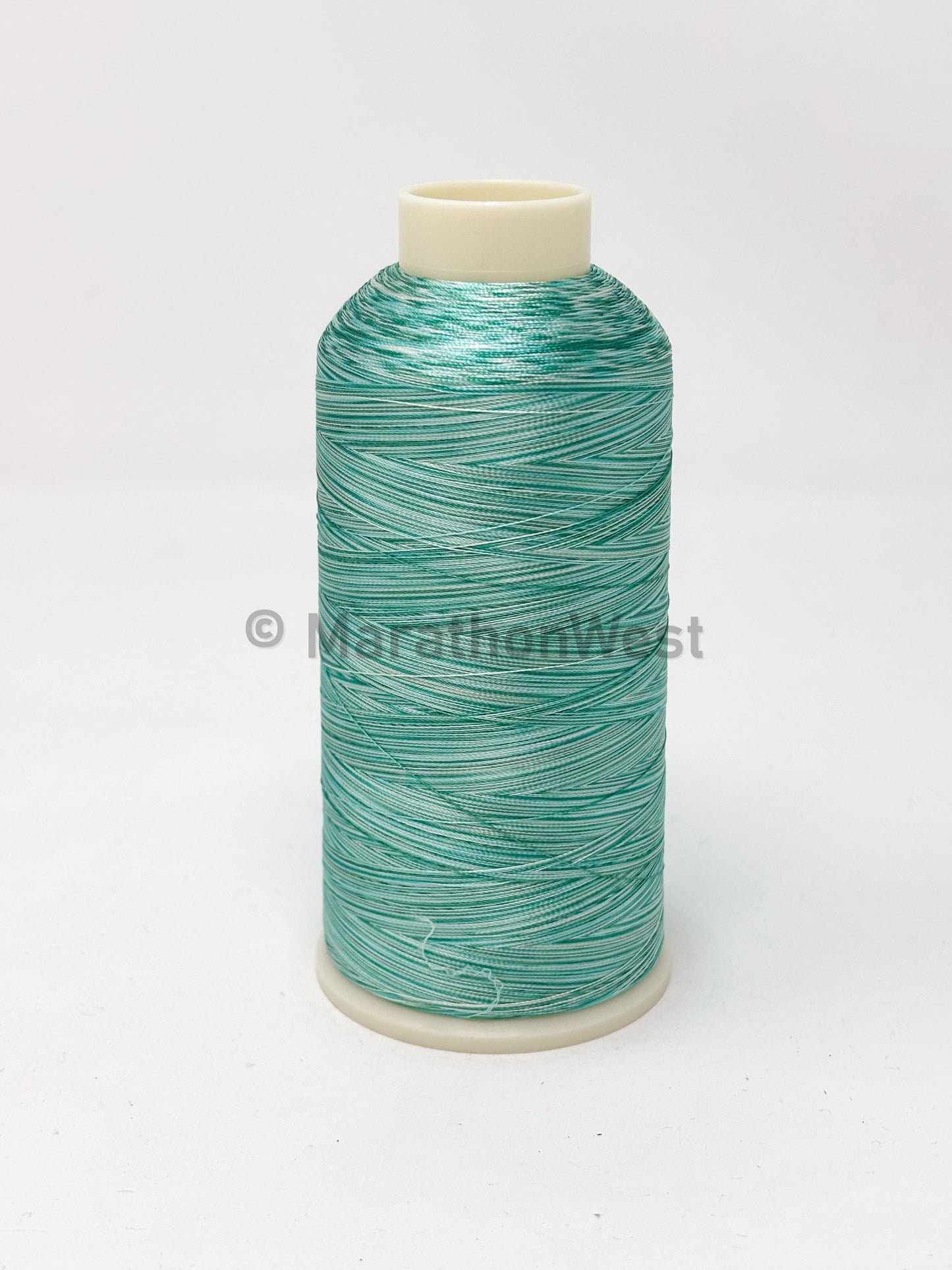 Variegated Viscose Rayon Threads