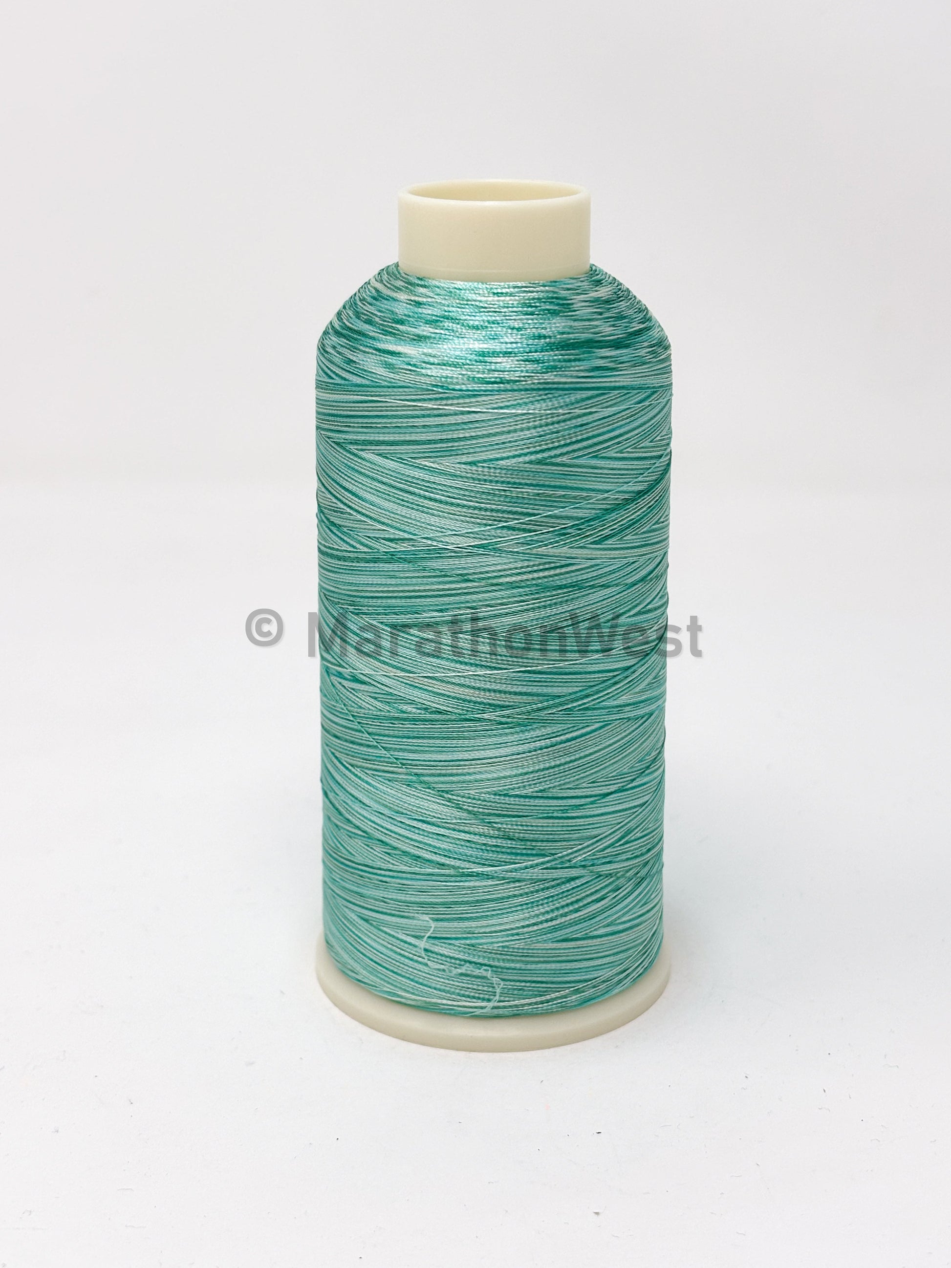 RAYON VARIEGATED 5500YDS #5512 item 45512