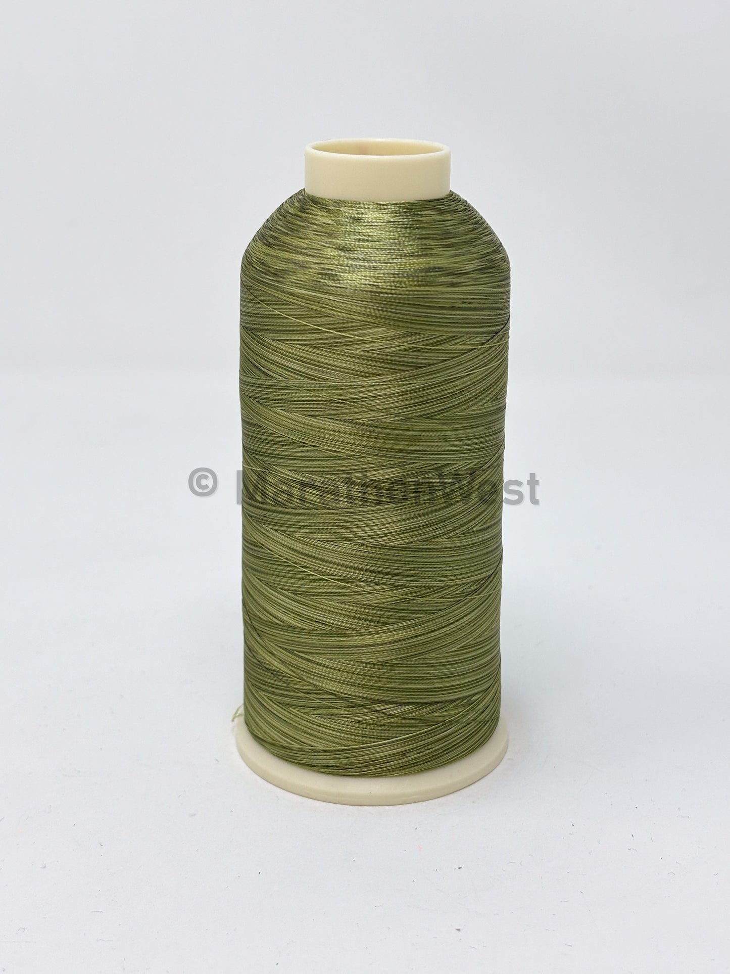 Variegated Viscose Rayon Threads