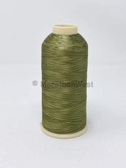 Variegated Viscose Rayon Threads