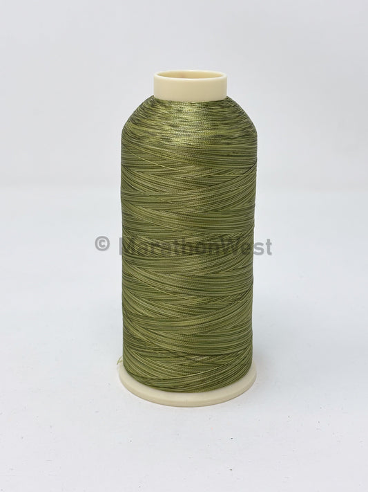 RAYON VARIEGATED 5500YDS #5514 item 45514